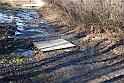 Lago Piccolo di Avigliana ghiacciato_056